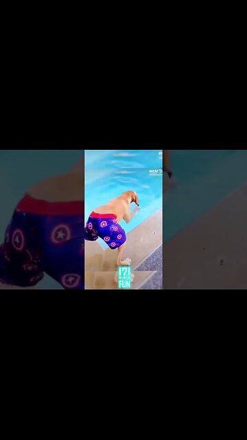 Funny Dogs Compilation! 🐶😂 | #funnydogs #dogmemes #