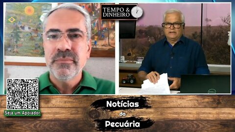 Boi gordo fragilizado na volta do feriado. Indústrias aproveitam e testam preços mais baixos.