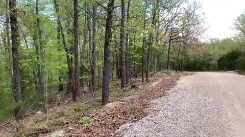 Homestead site 3