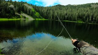 Part 1- PR Mountain ALPINE TROPHY Cutthroat Trout!!!