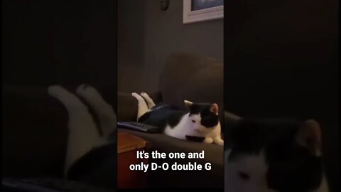 MEME is the one and only D-O double G #shorts