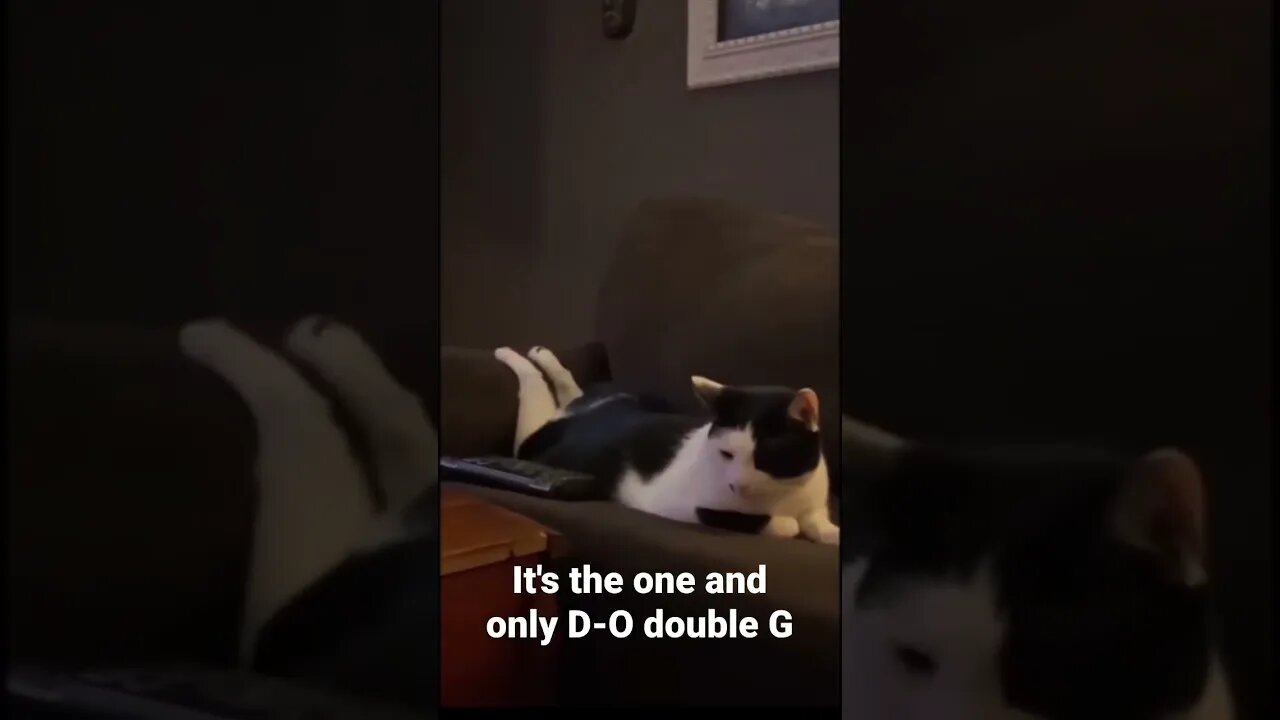 MEME is the one and only D-O double G #shorts