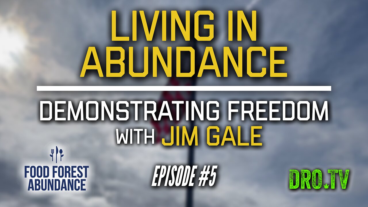 Living In Abundace | Ep #5 "Demonstrating Freedom With Jim Gale"