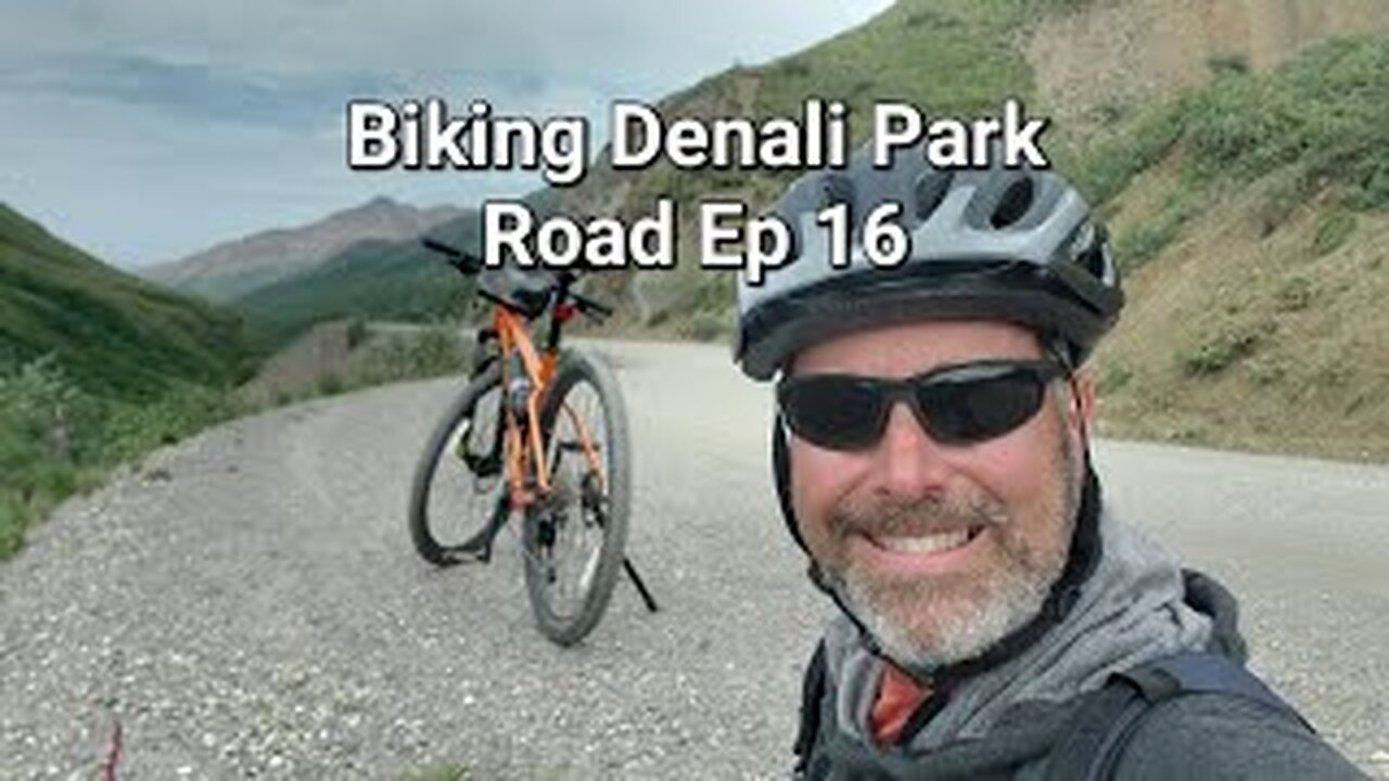 Biking Denali Park Road, Raw, Uncut Ep 16 July 2023 #travel #travelvlog #bike #alaskalife