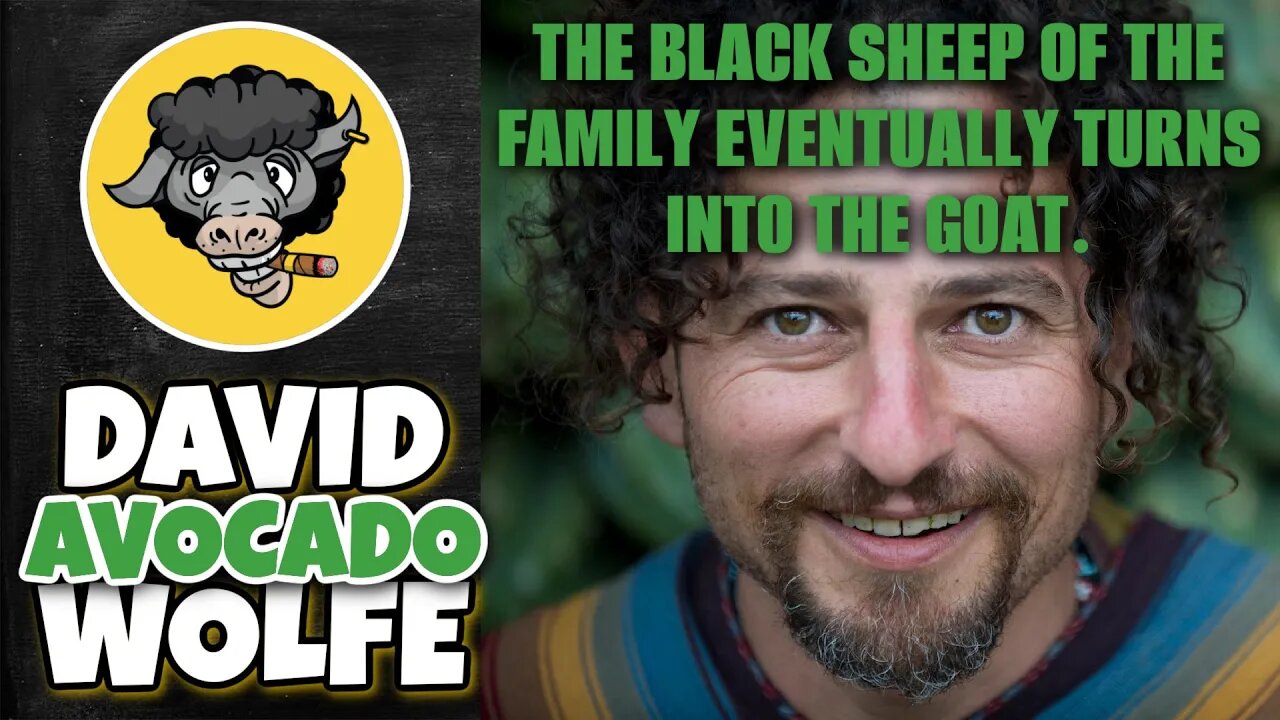 David Avocado Wolfe - LIVE! - The Black Sheep of the Family Eventually Turns Into The Goat