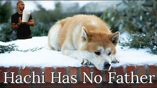 Hachi Has No Father