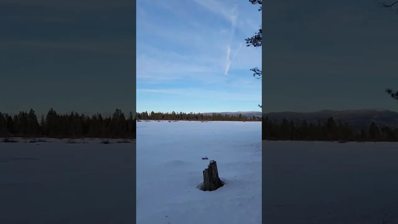 Snowshoeing in South Lake Tahoe