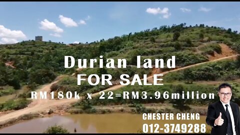 Kuala Lipis Durian Land *FOR SALE*