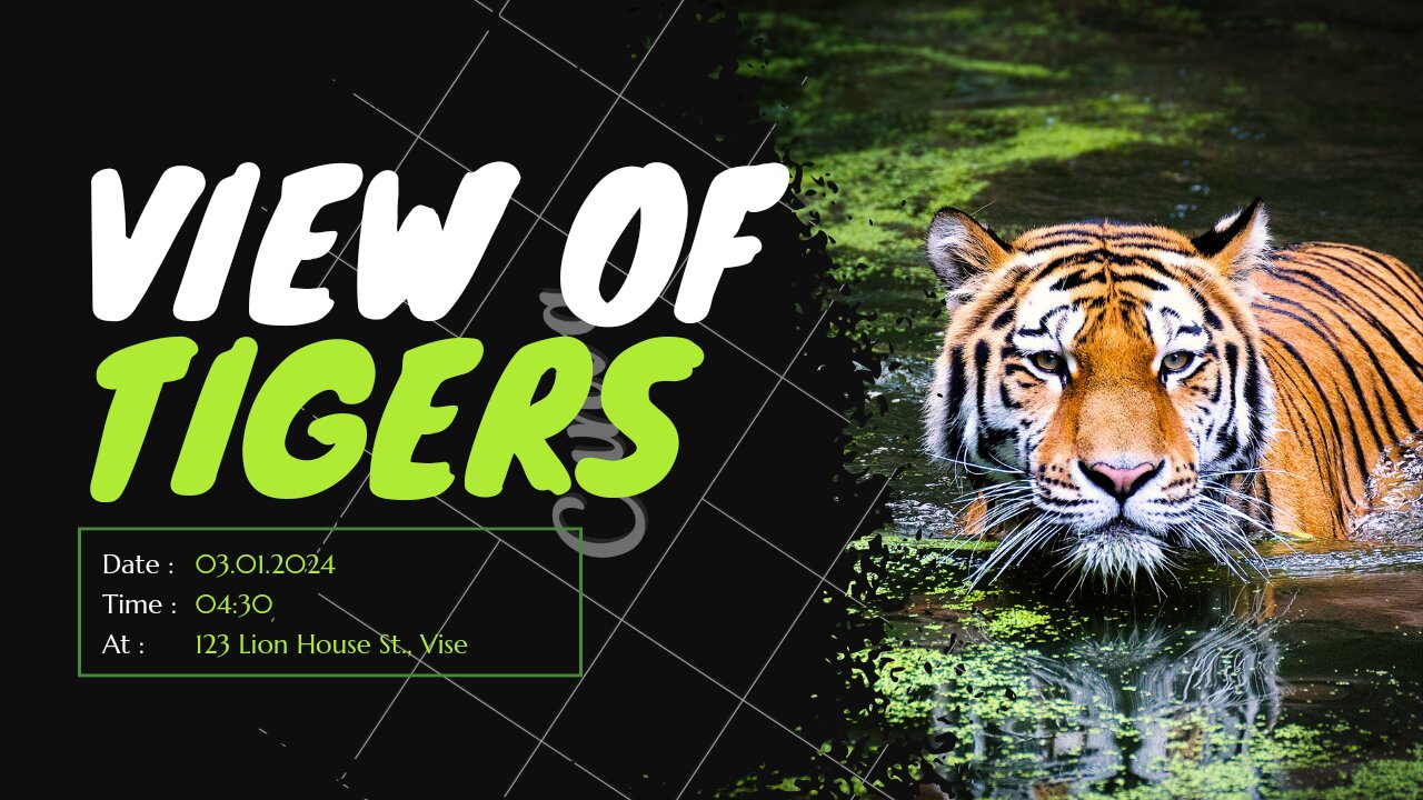 Tiger Close Up Video ll Tiger Wildlife ll Rehan Khan Photography ll