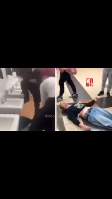 Student Beat Unconscious In School Bathroom By 2 Thugs In Wheaton, Illinois