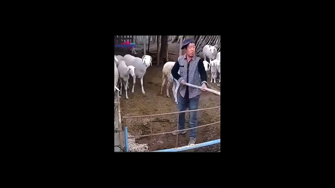 got