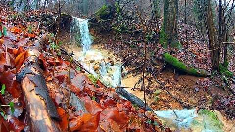 Small Forest Waterfall Amazing Place Super