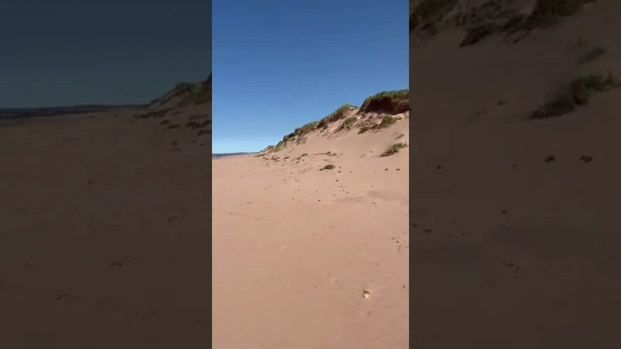 Tall sand dunes on the beach