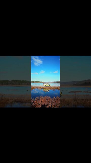 livin' free 🤘 #shorts #vanlife #campervan #rvlife #offgridliving #overlanding #nomadlife #offgrid