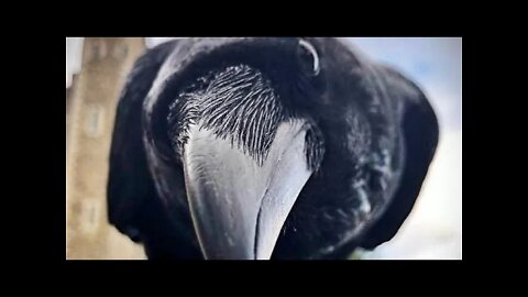 Yardism Live 3-15-22