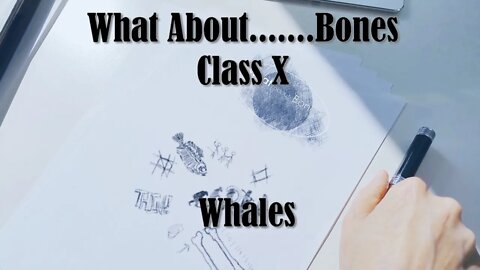 What About........ Whales | Class X | Academy of Hope | Reasons for Hope