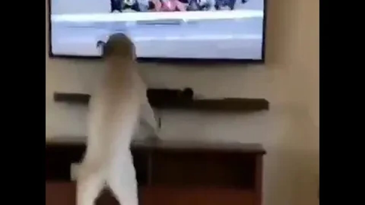 Got excited