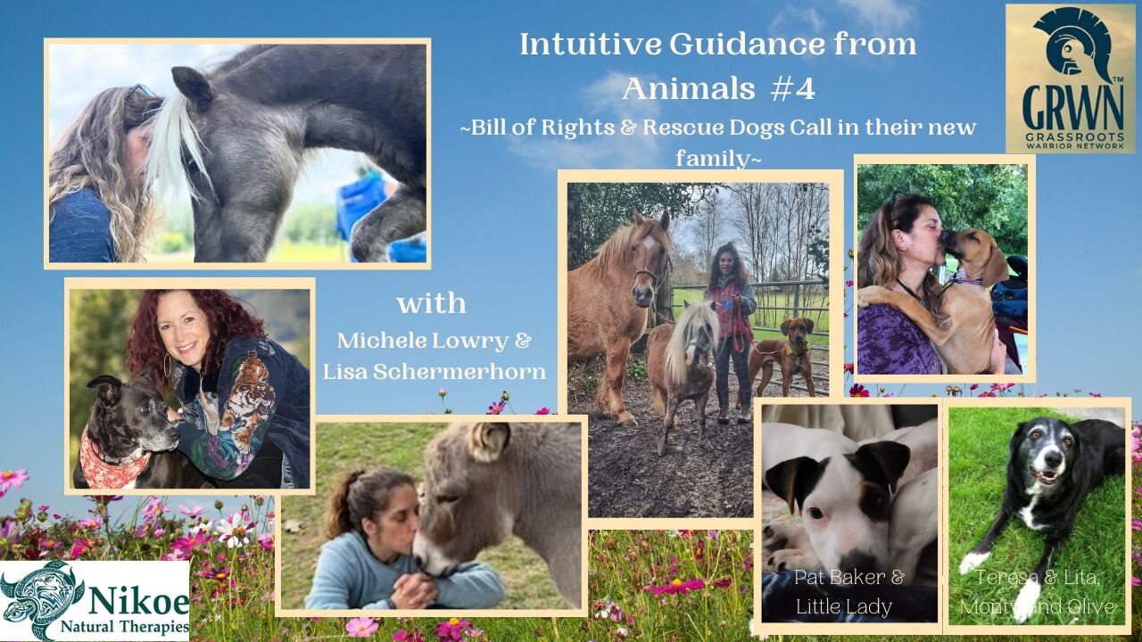 Intuitive Guidance from Animals - #4 - Bill of Rights for Animals & The Mystery of Two Rescue dogs