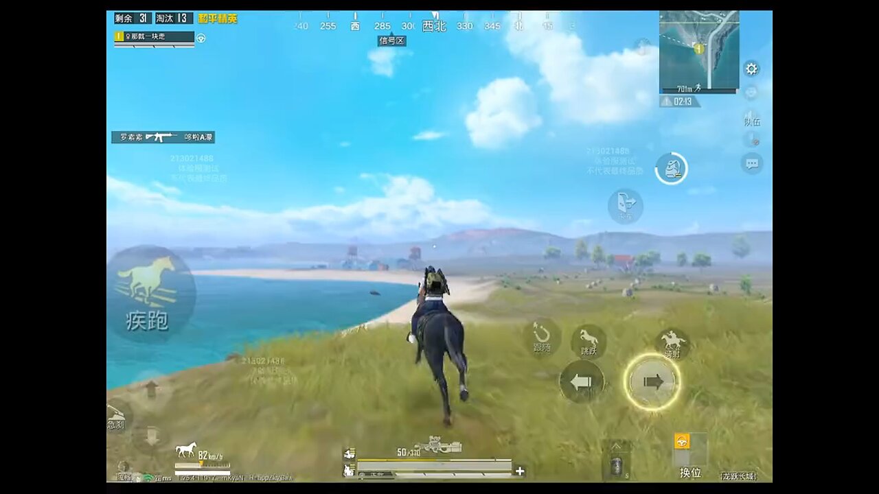 Pubg Horse Riding