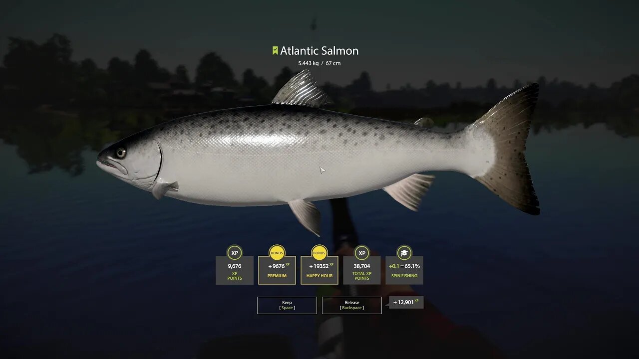 Russian Fishing 4 Volkhov River Atlantic Salmon 5 . 443 Kg (Trolling)