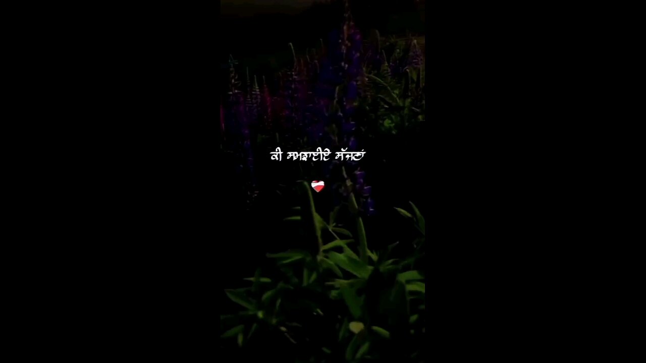 PIYALA MUSIC music with lyrics