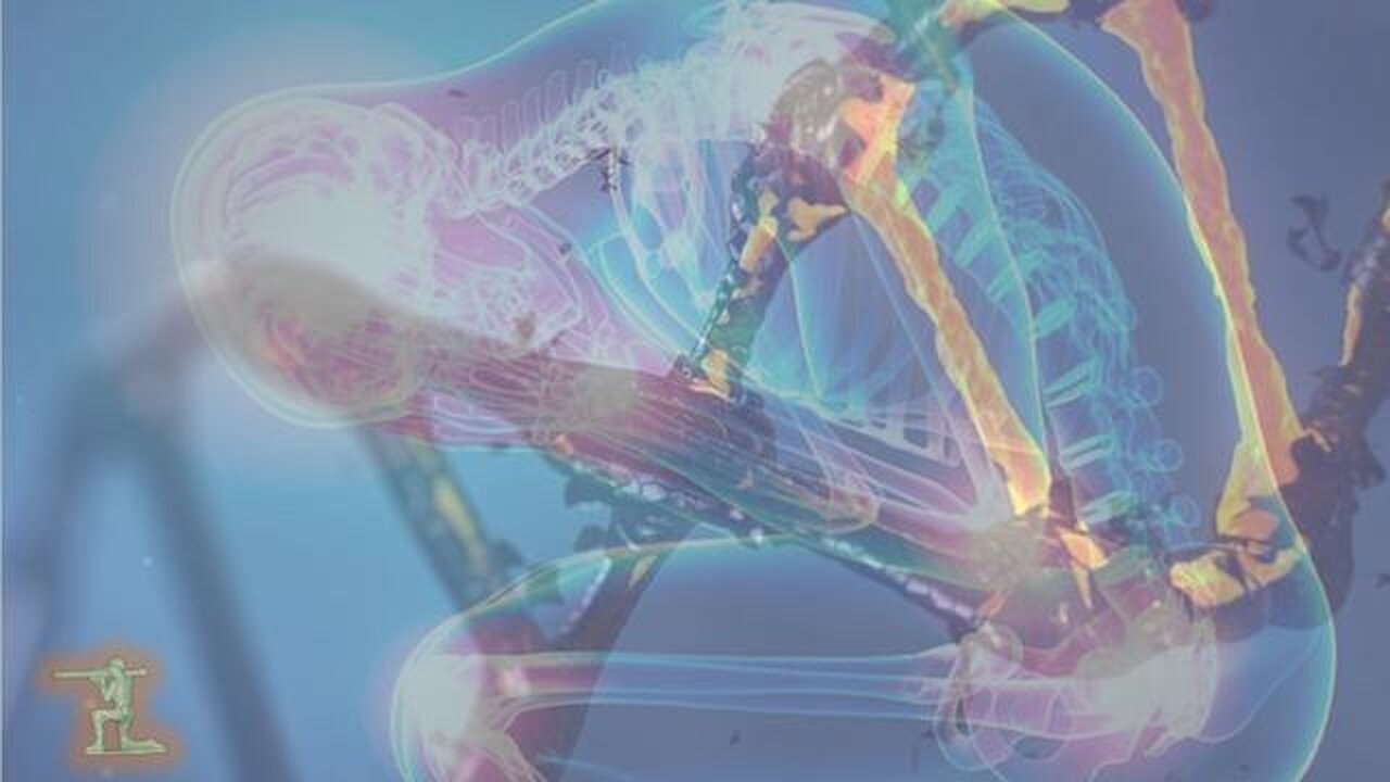 Young hearts part 38 - Immune system down