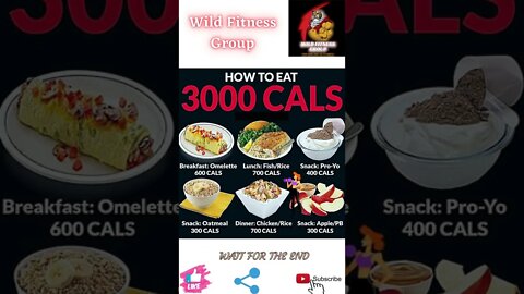 🔥How to eat 3000 calories🔥#shorts🔥#wildfitnessgroup🔥8 June 2022🔥