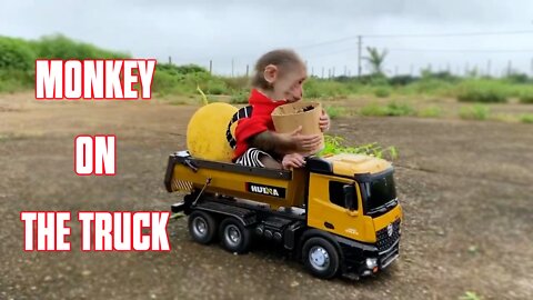 A monkey got accident with his truck