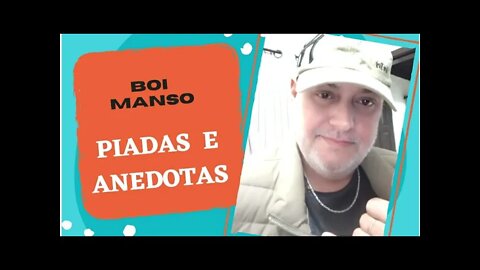 PIADAS E ANEDOTAS - BOI MANSO - #shorts