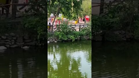 #short #subscribe #beautiful #lake