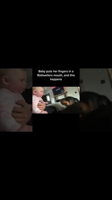 Are Rottweilers Good Around Kids? #shorts #rottweiler #dogs