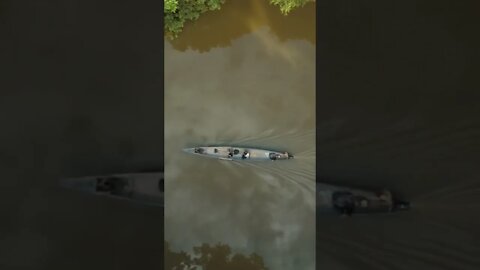 Amazon river 💚