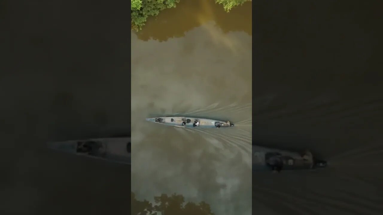Amazon river 💚