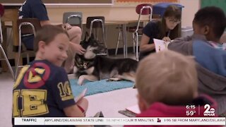 SPCA Wagging Tales Reading Hour!