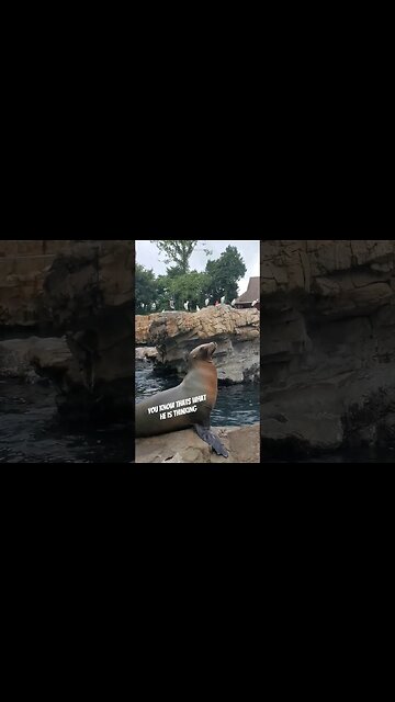 I Mean He Probably Is...