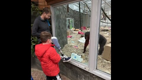 Chimps 😱✋🏻😯 Checking Out Prosthetic Leg #cat #shorts #dog