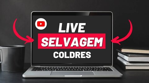 Live Selvagem Tema: Coldres e suas utilidades.