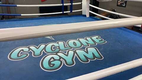 Live sparring