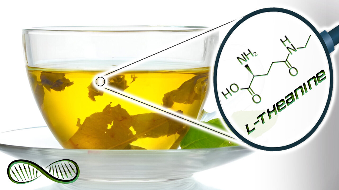 L-Theanine 🍵 The Nootropic ingredient of green tea that delivers relaxation without sedation