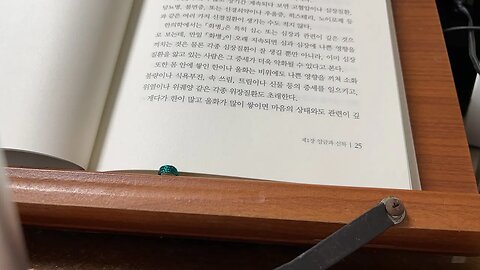 허준 동의보감 2 이철호 장편 다큐멘터리 선조 울화병 고혈압 당뇨 히스테리 노이로제 심화 적체 분노 적개심 해원떡 정월대보름 방풍 용안육 인삼 산약 신하 종기 노기 고뇌