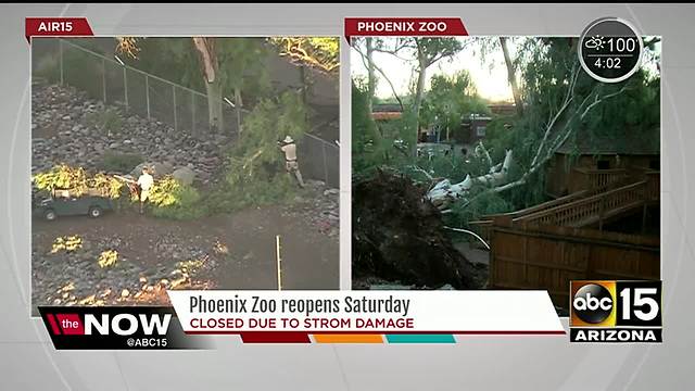 Phoenix Zoo to re-open on Saturday after storm damage