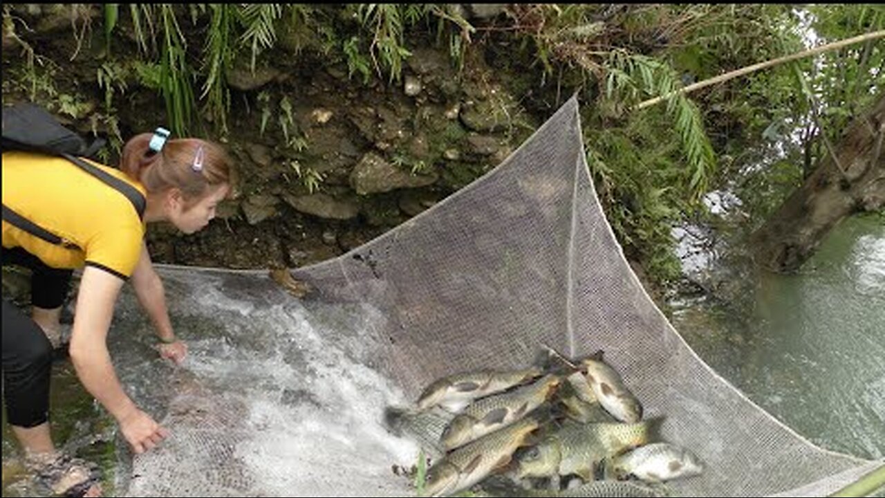 Wild Fishing - Building a fishing net system on a small tributary - fishing technique