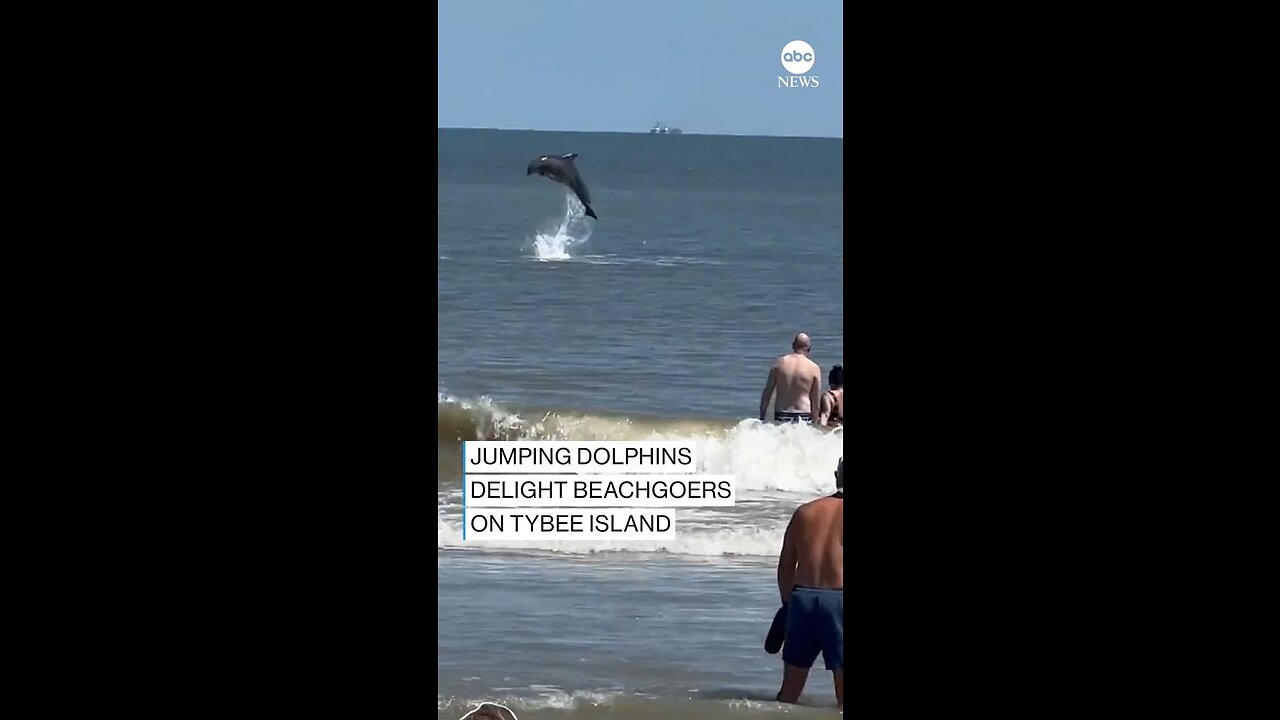 SOME FIN SPECIAL: Dolphins delight beachgoers with a playful display close to the shore on Tybee