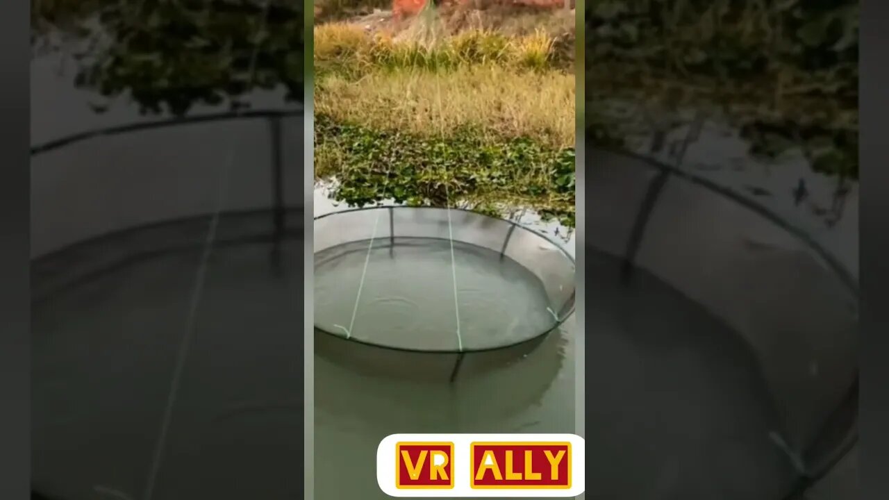 How to catch more Fish #short #youtubeshorts #fishing #viral
