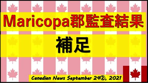 監査結果の補足動画