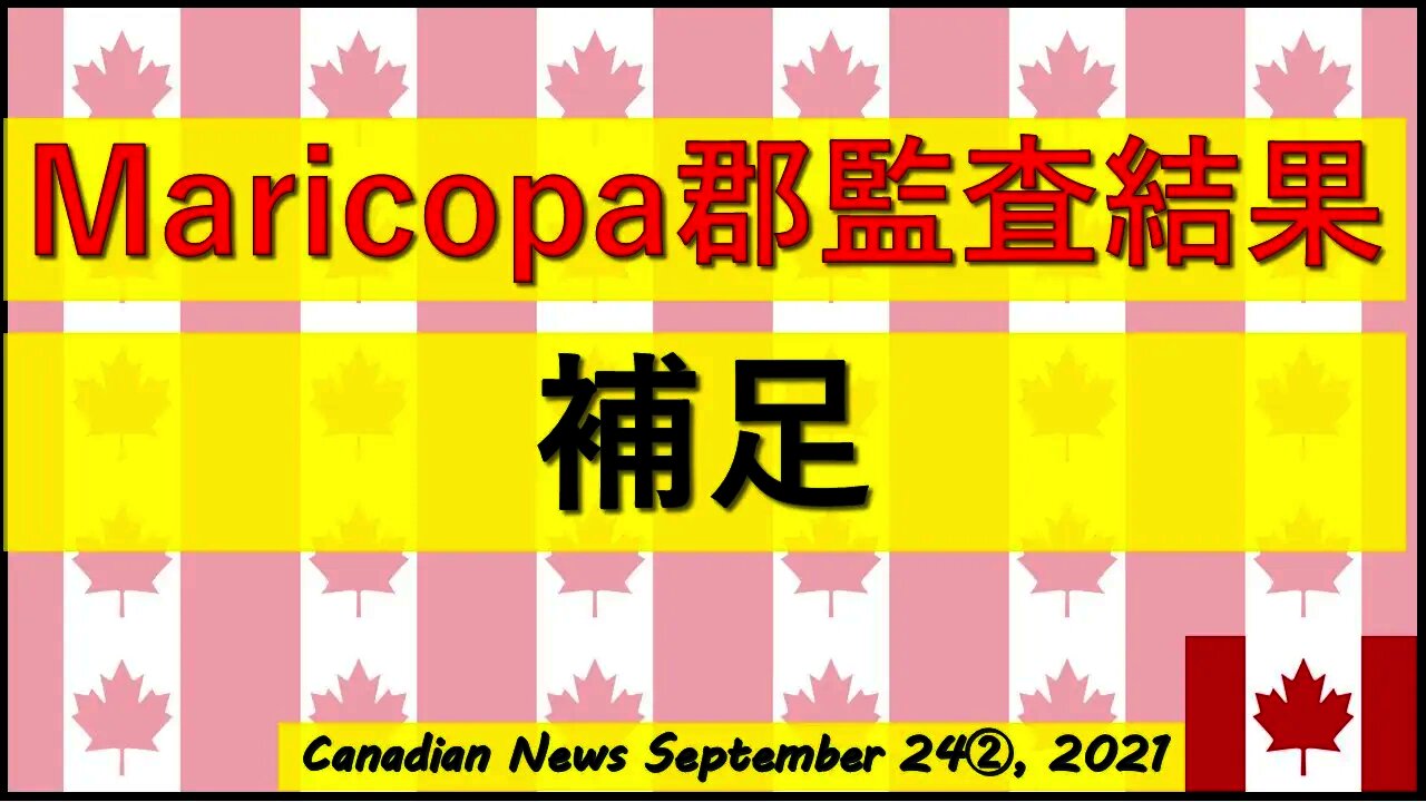 監査結果の補足動画