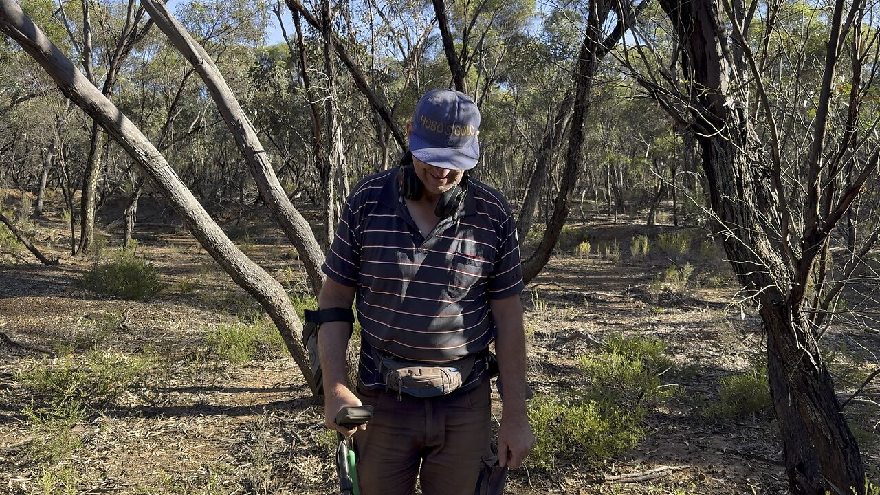 Minelab GPX6000 Wedderburn Gold