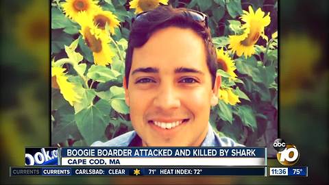 Boogie boarder killed by shark