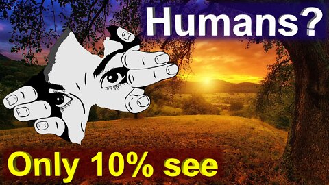 THE MYSTERIOUS curtain between Humans and Animals - Discover the secret of Free Will - Henri Cosi