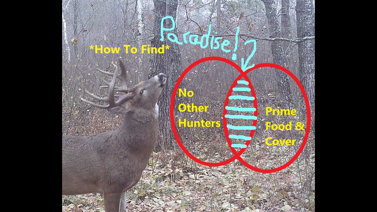 Public Land Hunting Paradise; Whitetails